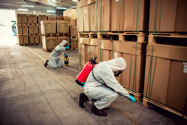 Best Mosquito Control Services  in Pebble Creek, FL