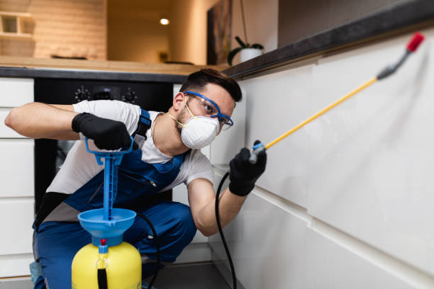 Pest Prevention Services in Pebble Creek, FL
