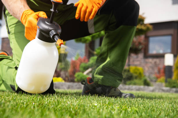 Best Flea Control Services  in Pebble Creek, FL