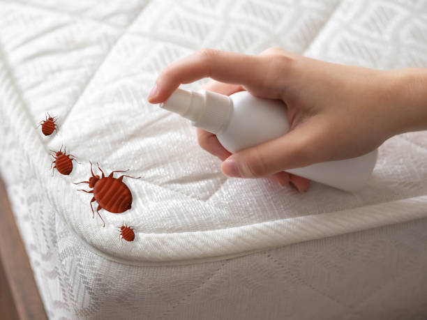 Best Commercial Pest Control Services  in Pebble Creek, FL