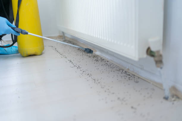 Best Pest Inspection Near Me  in Pebble Creek, FL